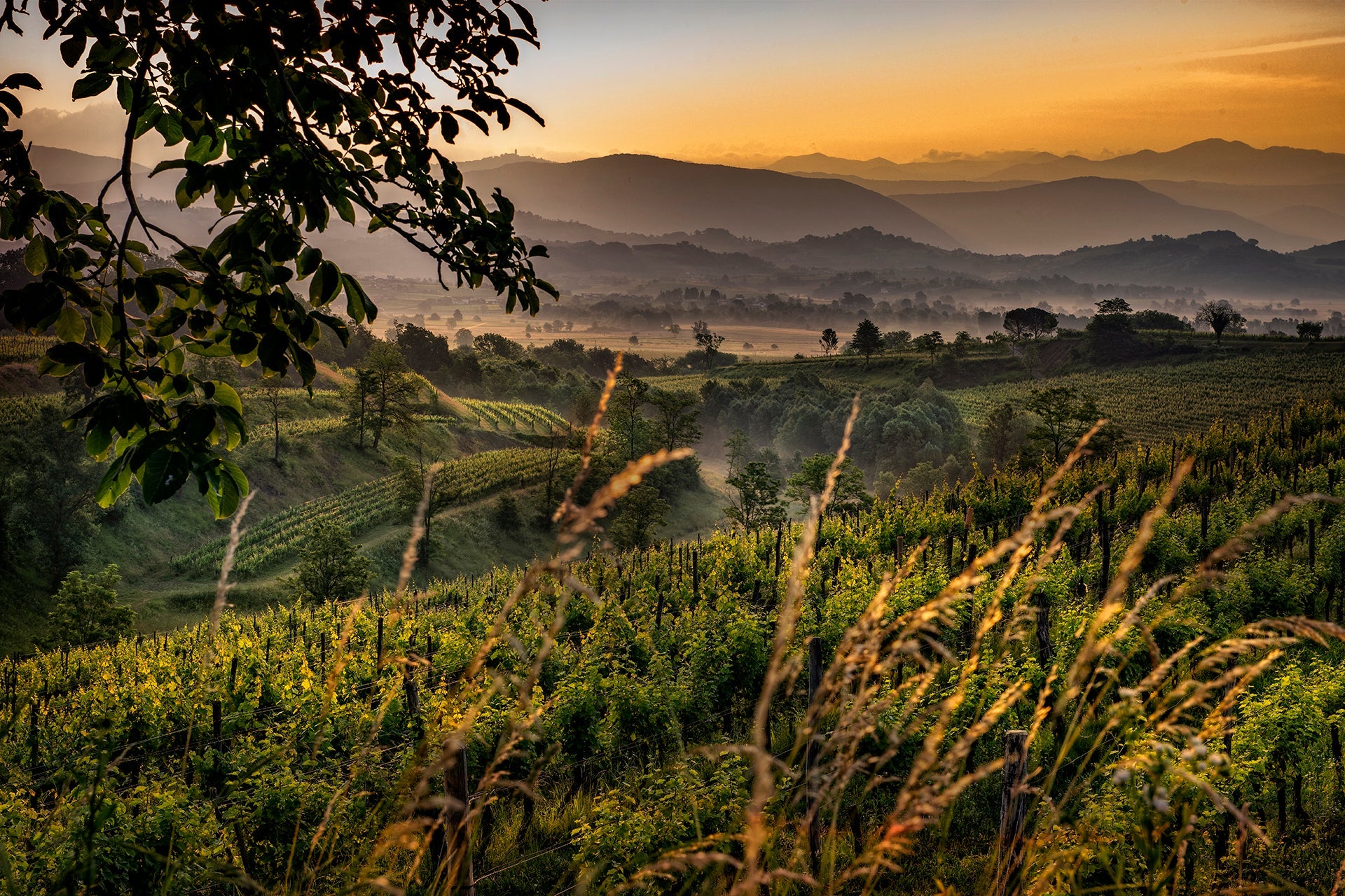 Friuli-Venezia Giulia
