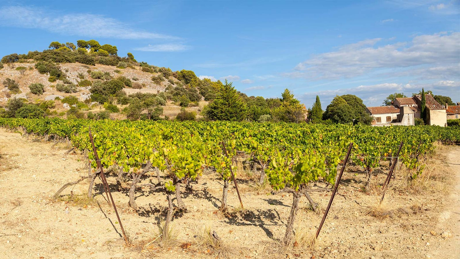 Languedoc