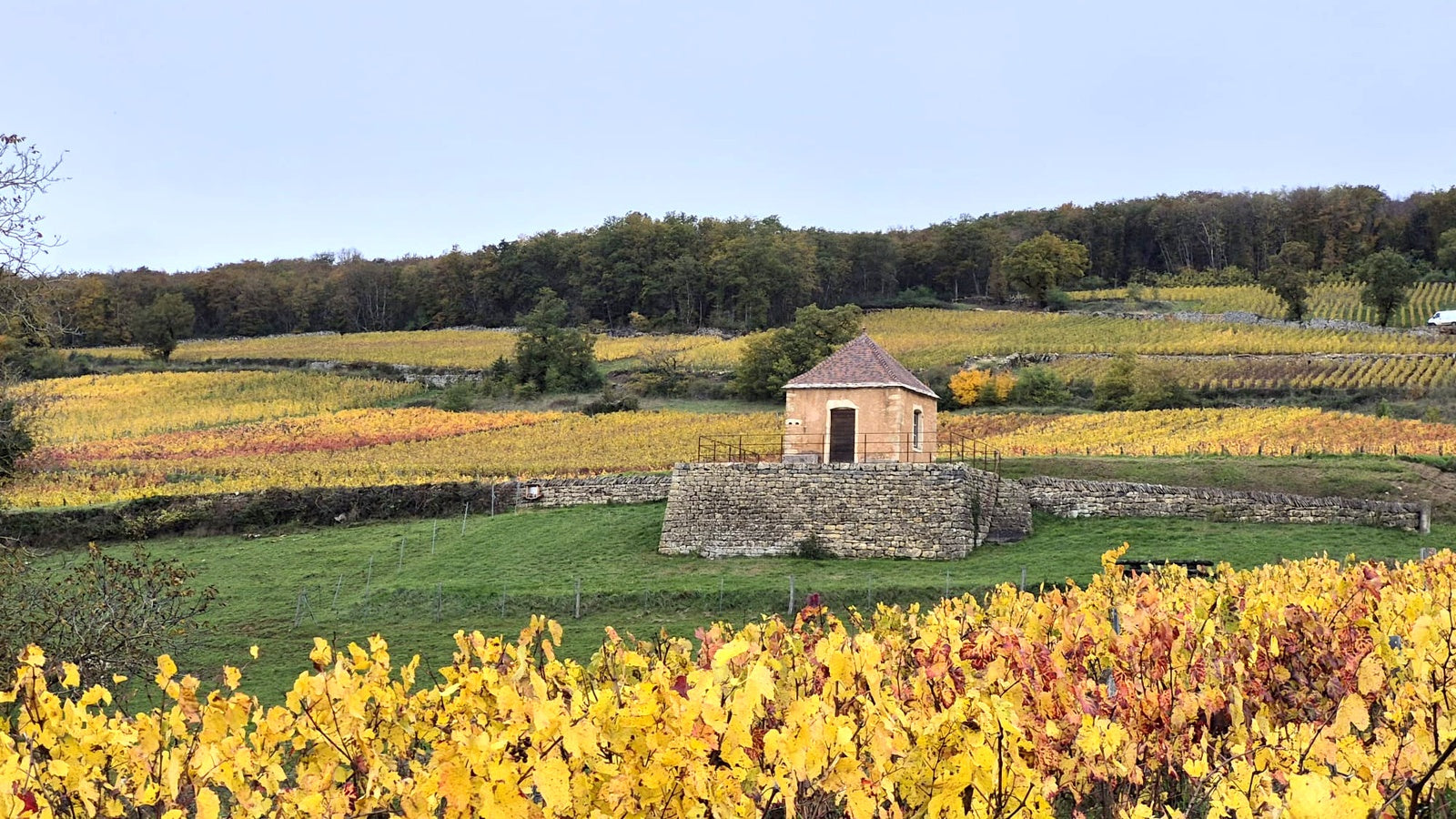 Domaine Guillot-Broux