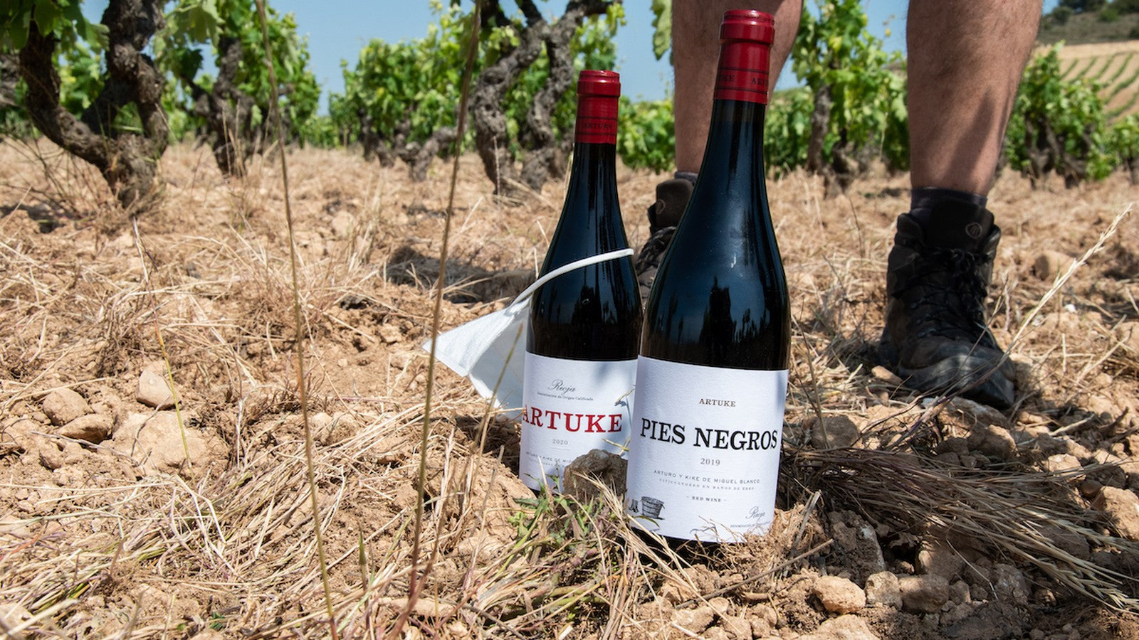注目生産者✻CUENTAVINAS Garnacha 2020 リオハ 赤ワイン リオハワイン