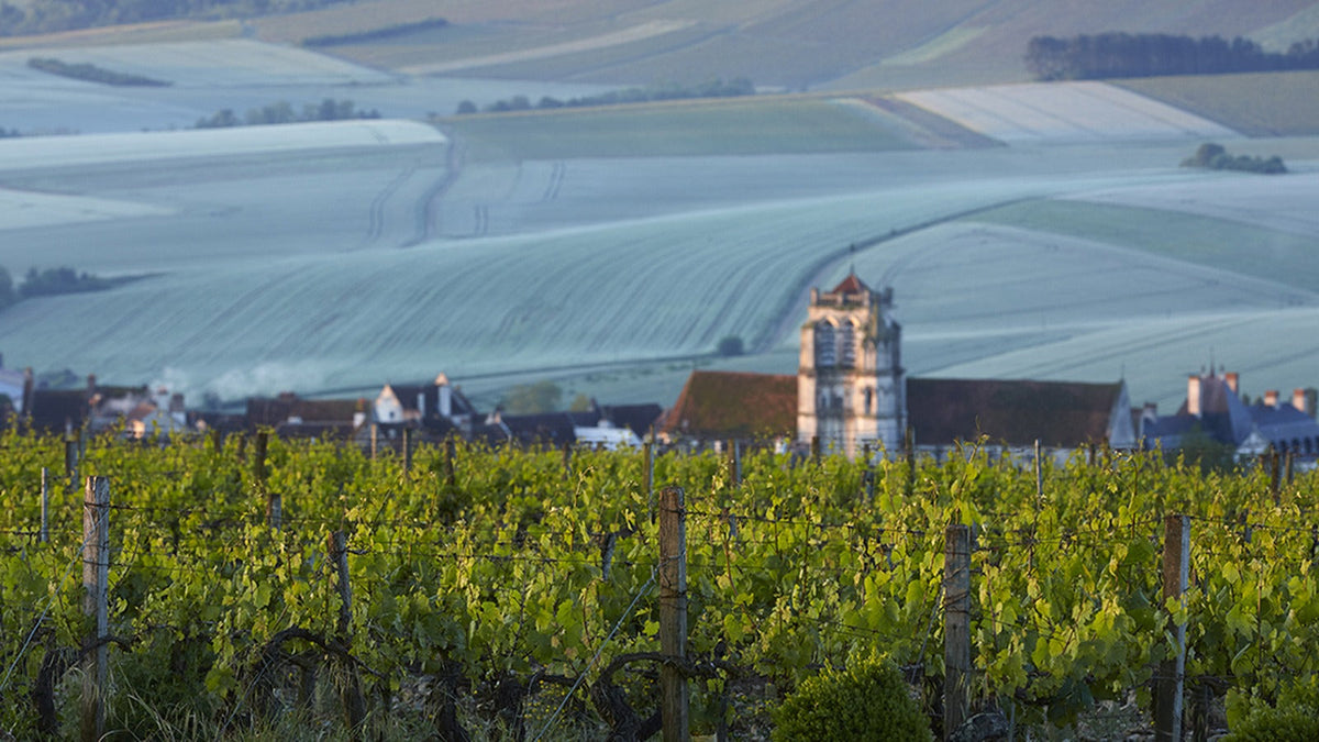 Domaine Goisot