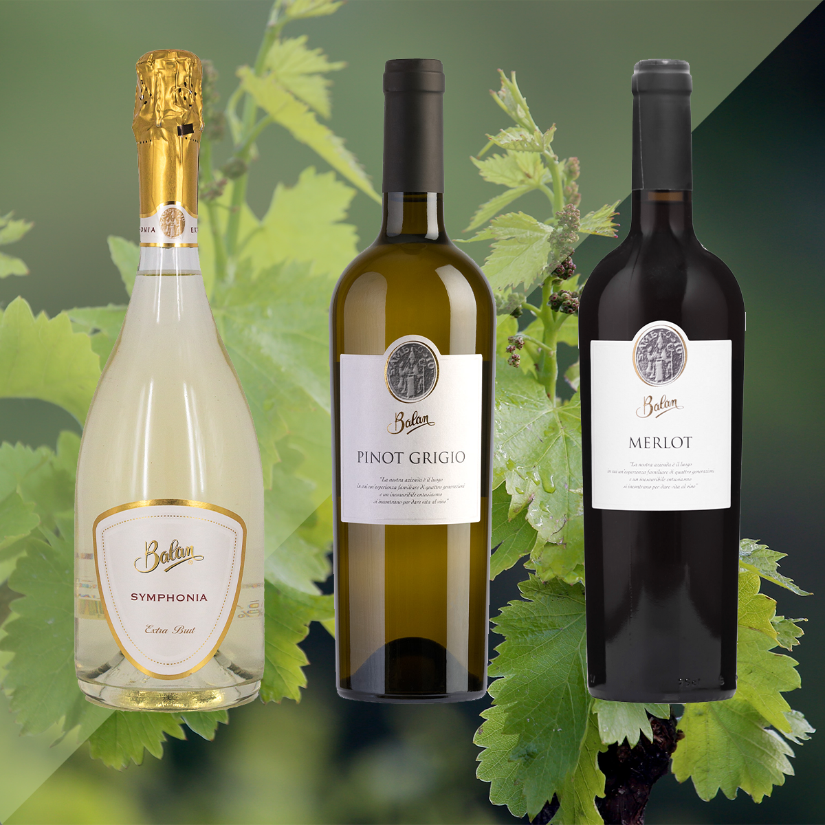 A 3-bottle set of red, white and sparkling wine perfect for a home party