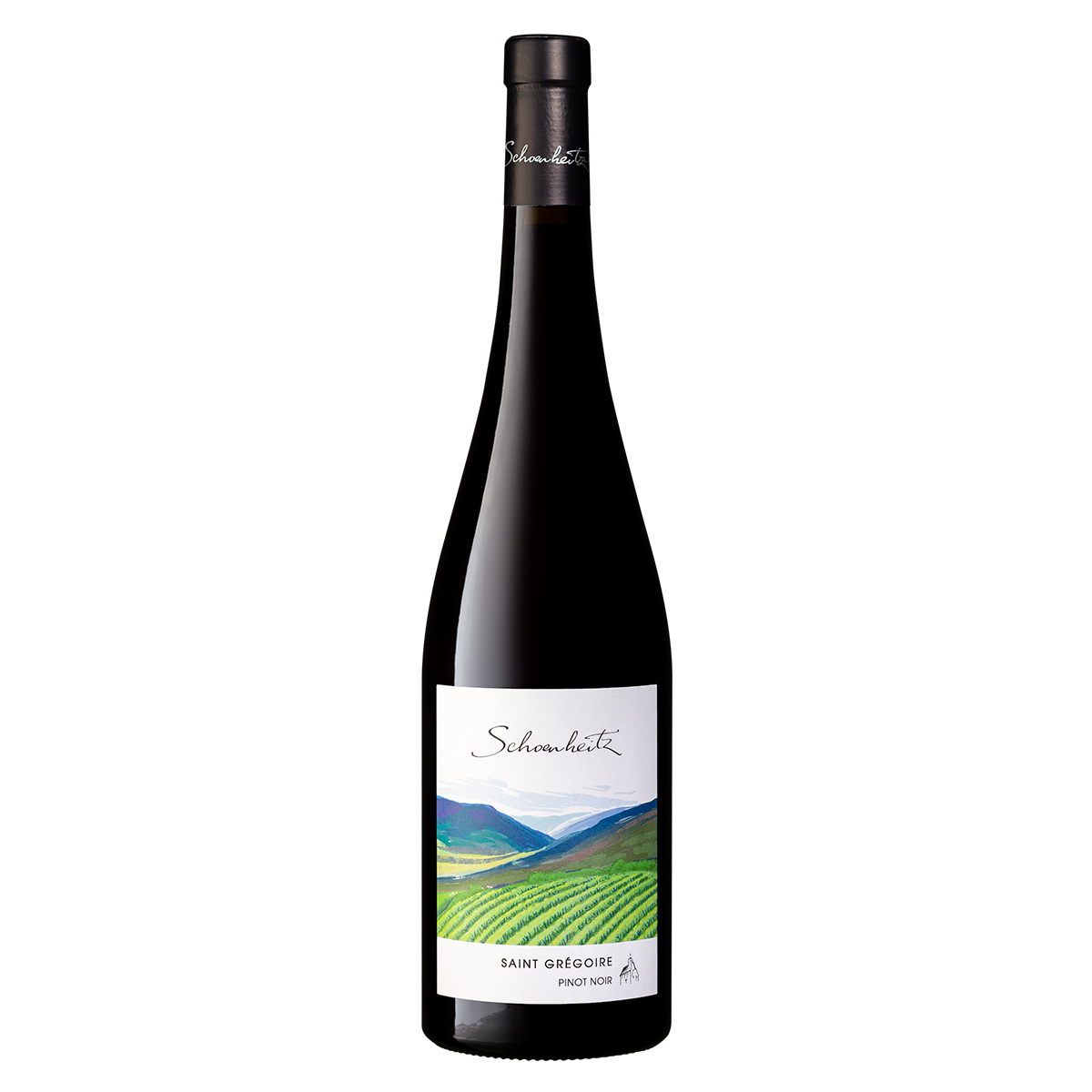 Alsace Pinot Noir Saint-Grégoire 2023｜Domaine Schoenheitz｜Red Wine