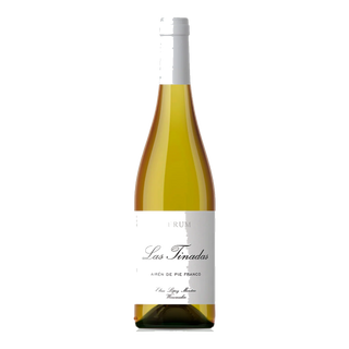 Verum Las Tinadas Airen de Pie Franco 2023 Bodegas y Viñedos Verum