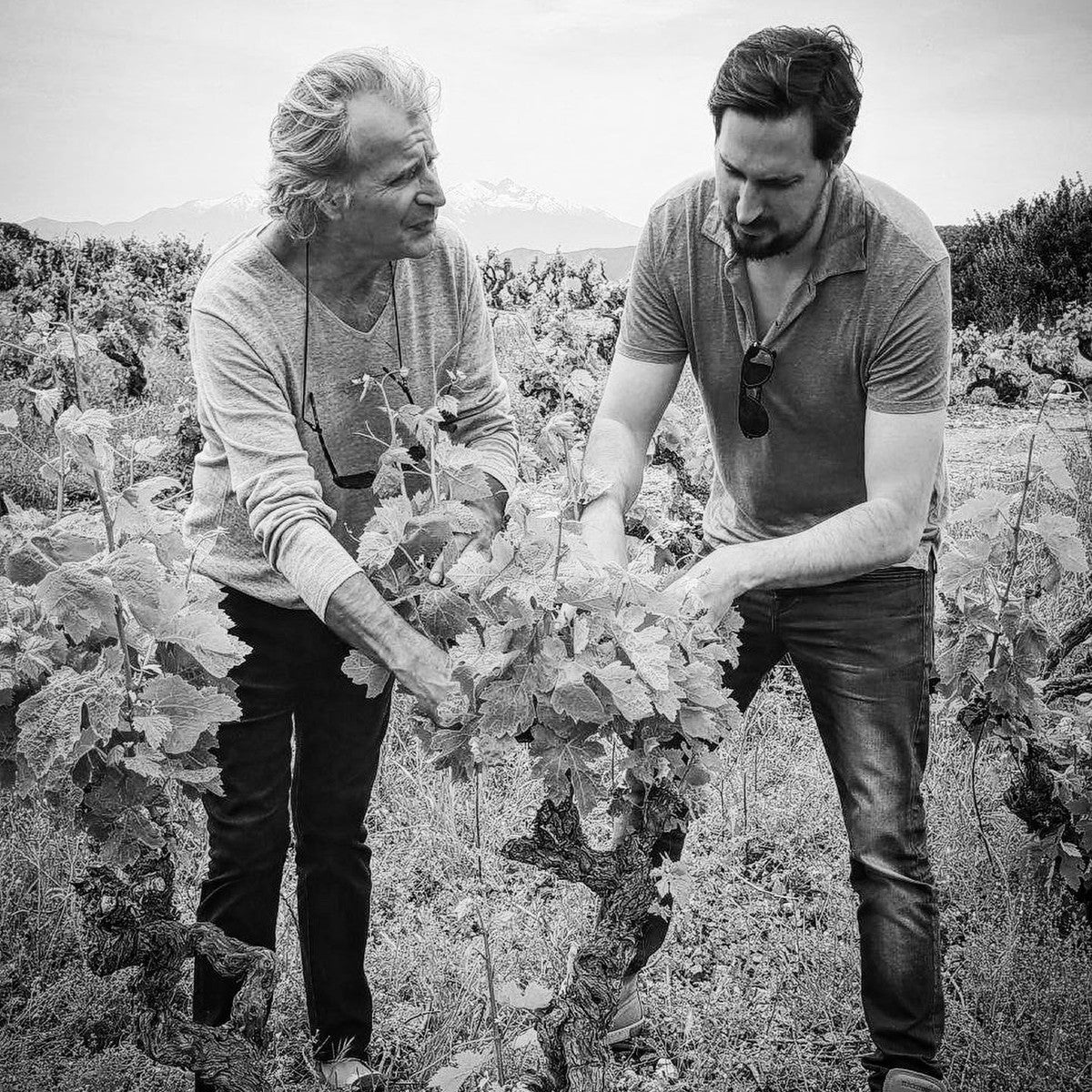 Clos del Rey ジャック・モンタニエとジュリアン・モンタニエ