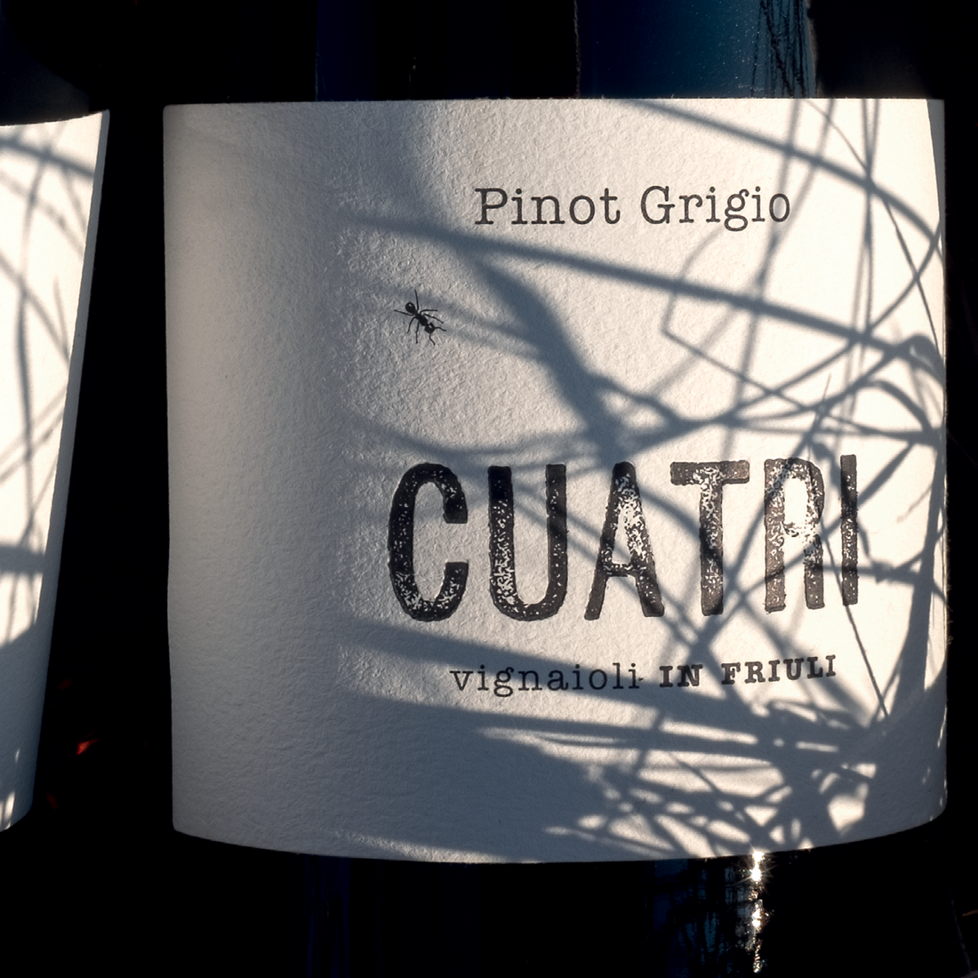 Pinot Grigio 2021