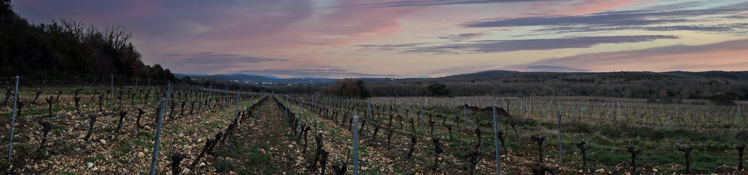 Clos Constantin