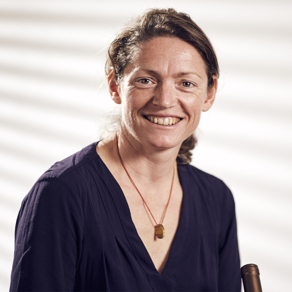 Domaine le Roc des Anges