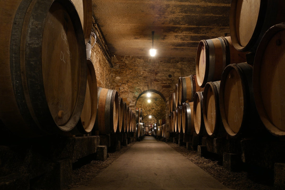 Domaine Clos de la Chapelle