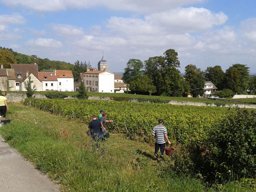 Domaine Vincent Godier