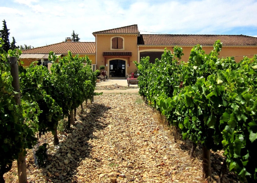 Domaine Goizot