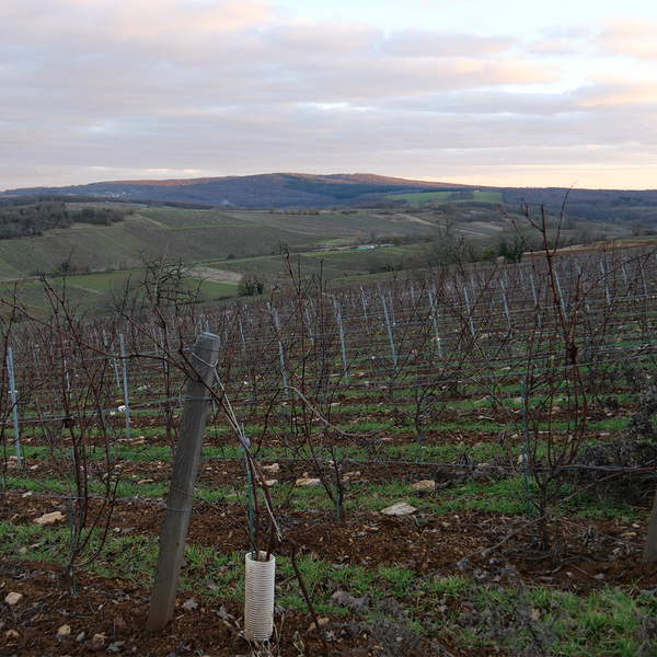 Domaine Guillot-Broux