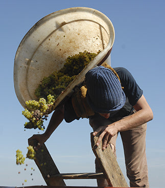 Domaine Guillot-Broux