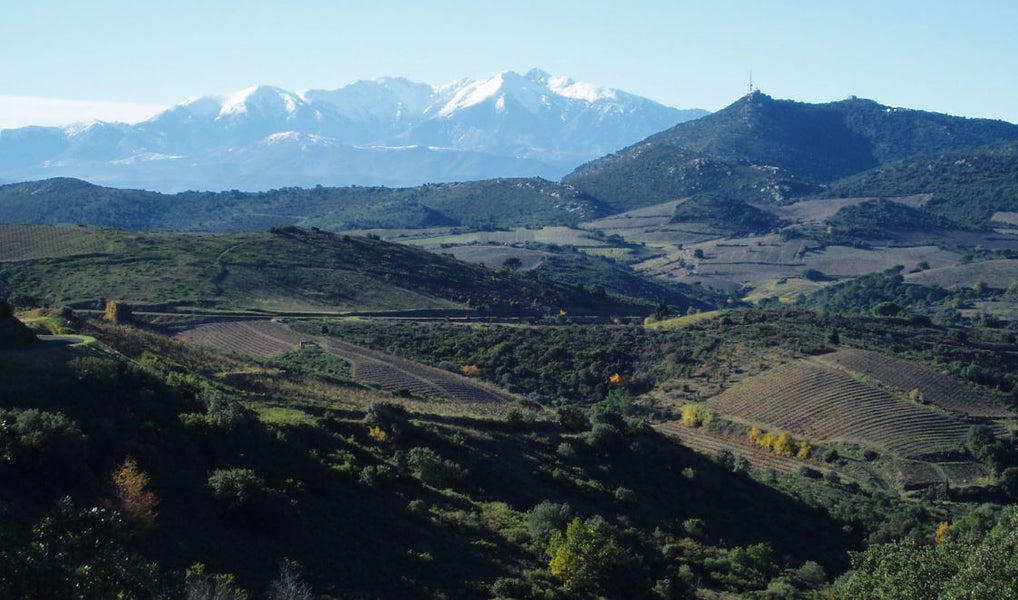 Domaine Olivier Pithon