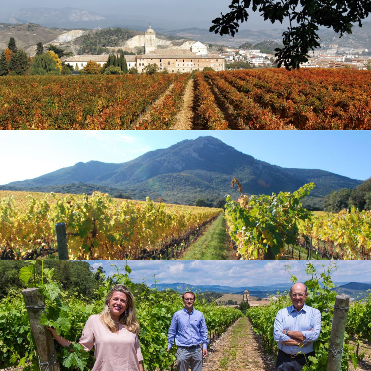 Bodegas Pago de Larrainzar