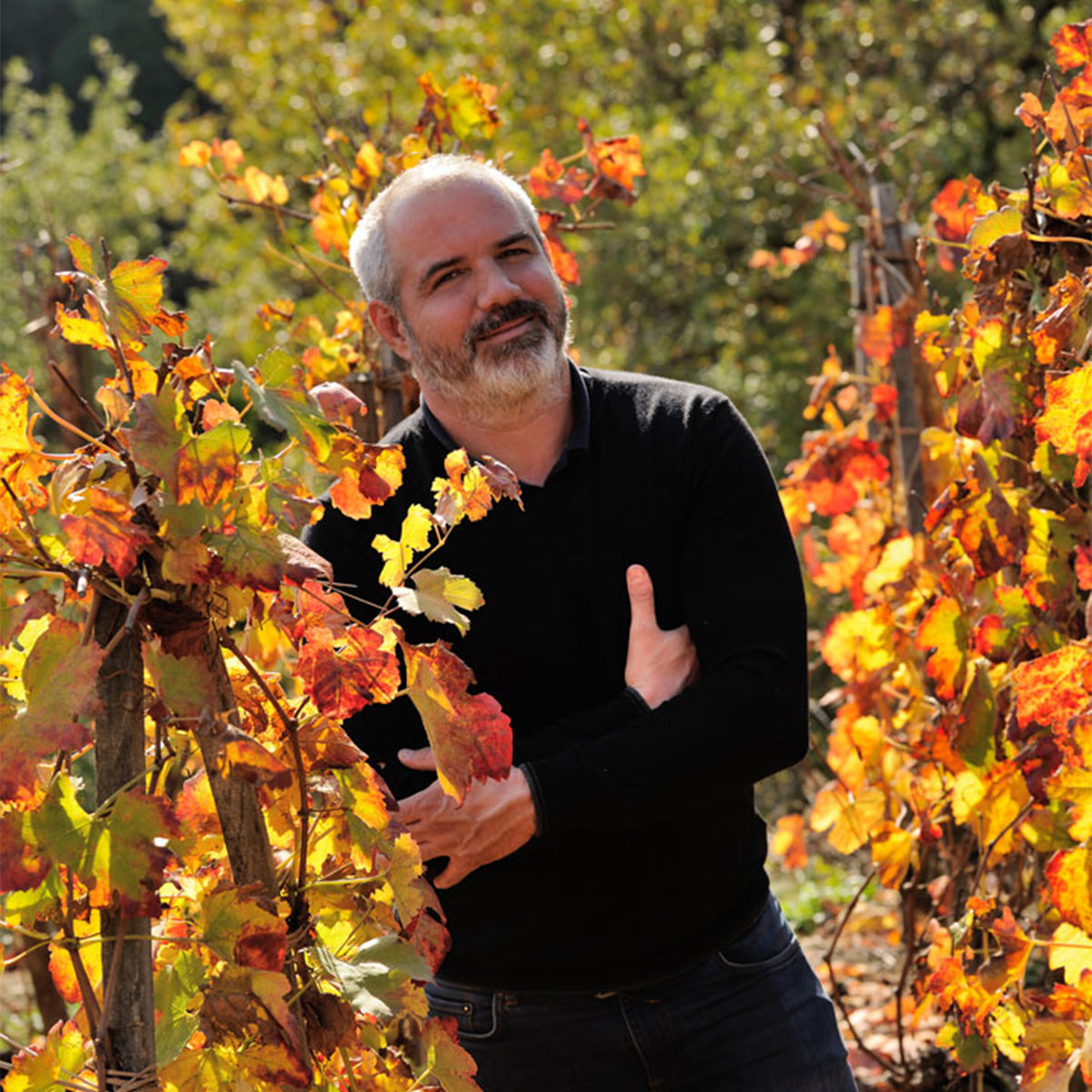 Domaine Julien Pilon