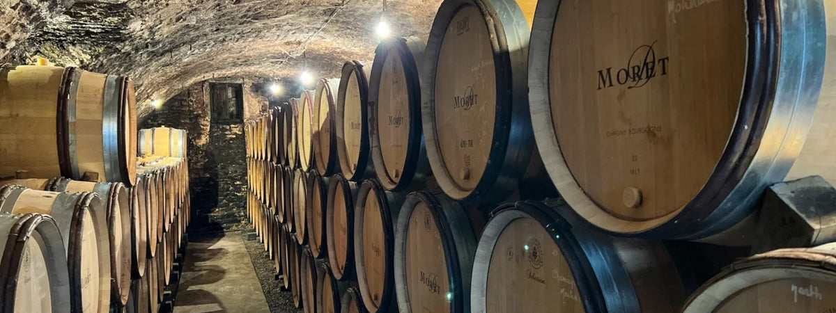 Domaine David Moret セラー