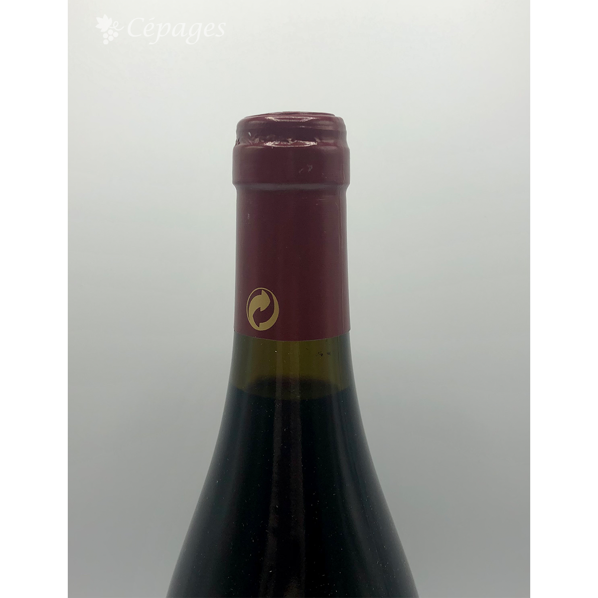 Cornas Sans Soufre 2011 Domaine Thierry Allemand