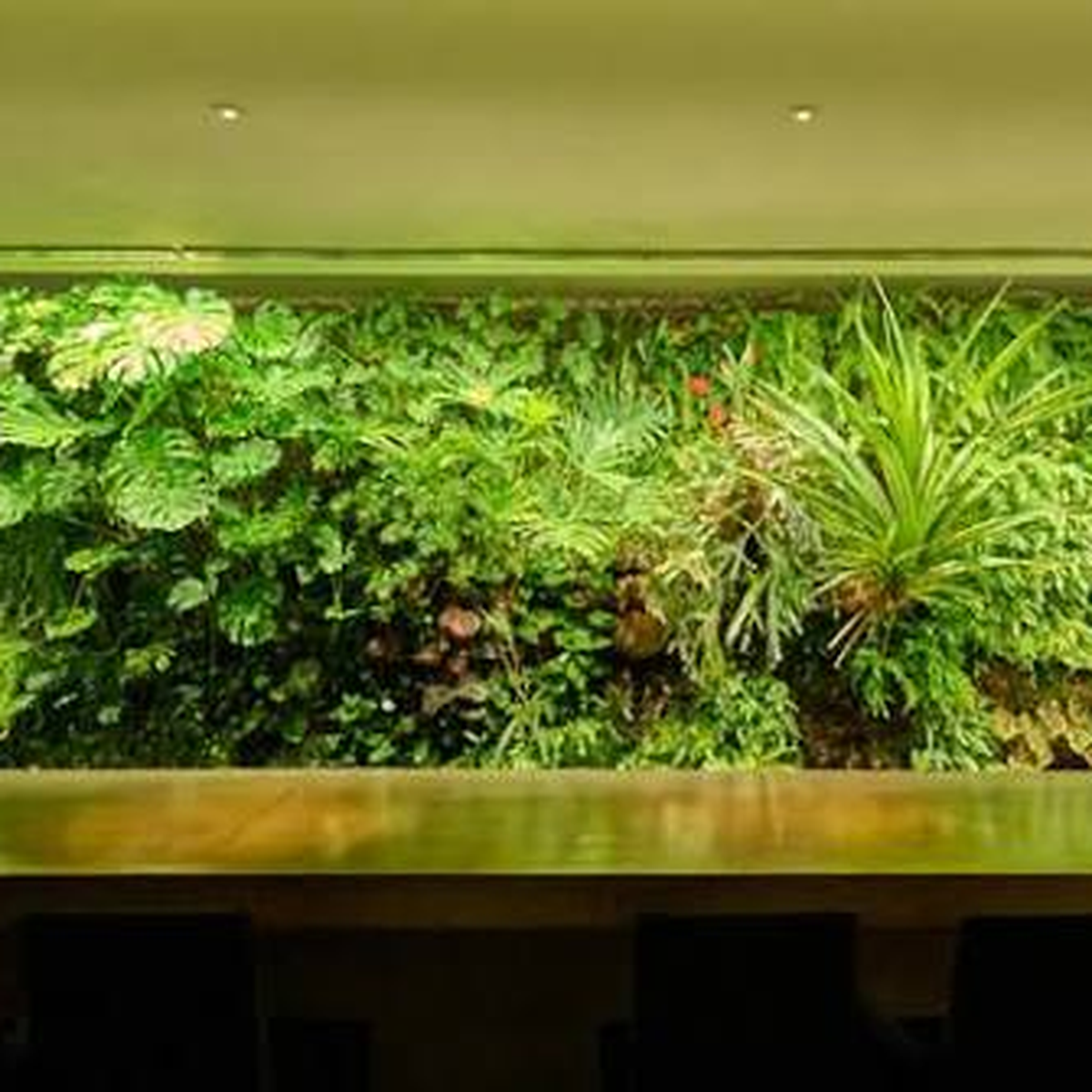 【ディナー】約40種のワインを自由に楽しむ一夜 ― Wine Free Tasting & Buffet