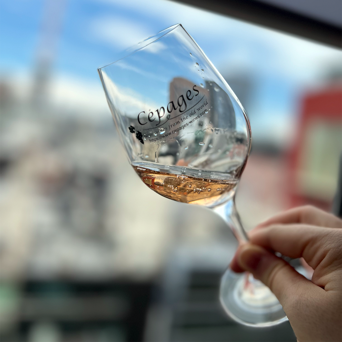 Rose Mont Rose Crémant de Limoux Rosé NV Domaine Mont Rose