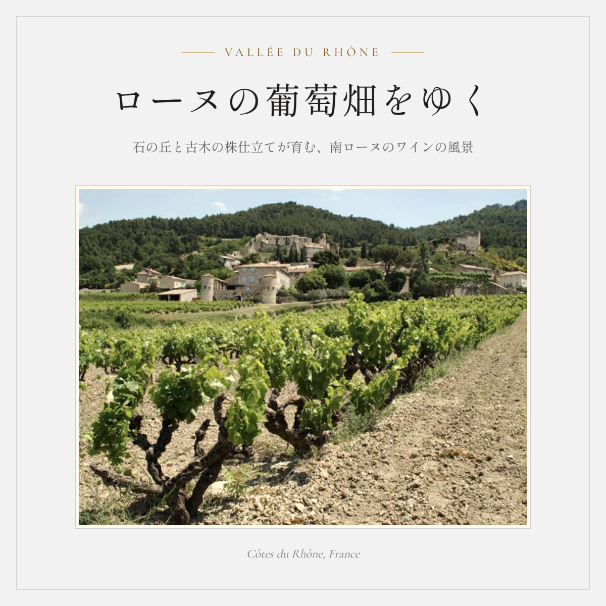 【セミナー&試飲会】第2部 11/14(土)16:00〜 Vol.1 ローヌ