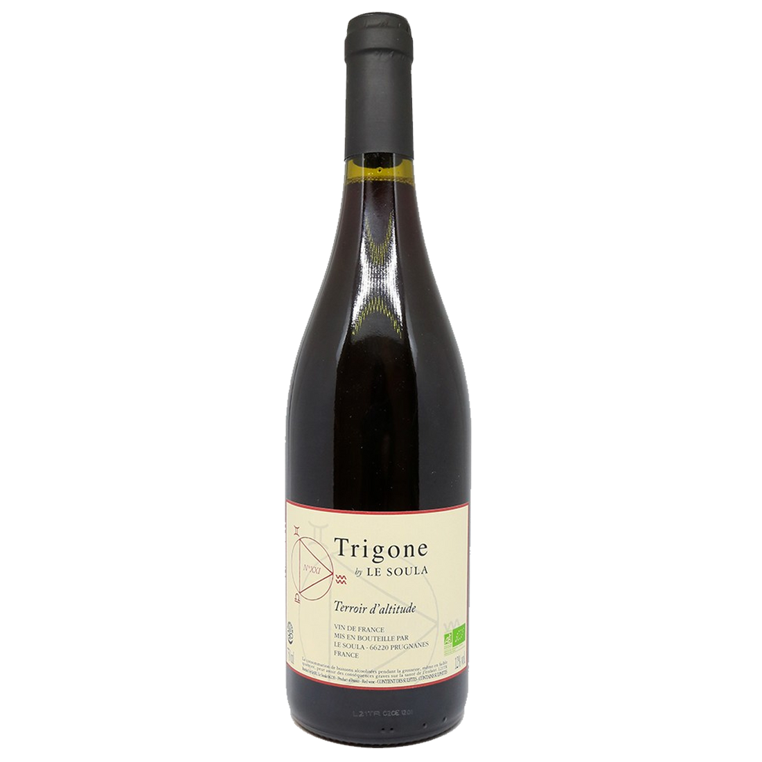 Trigone Rouge N°XXI
