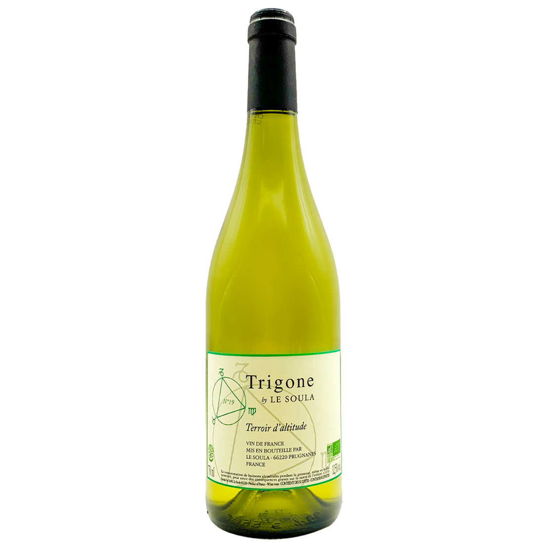 Trigone Blanc N°XXI