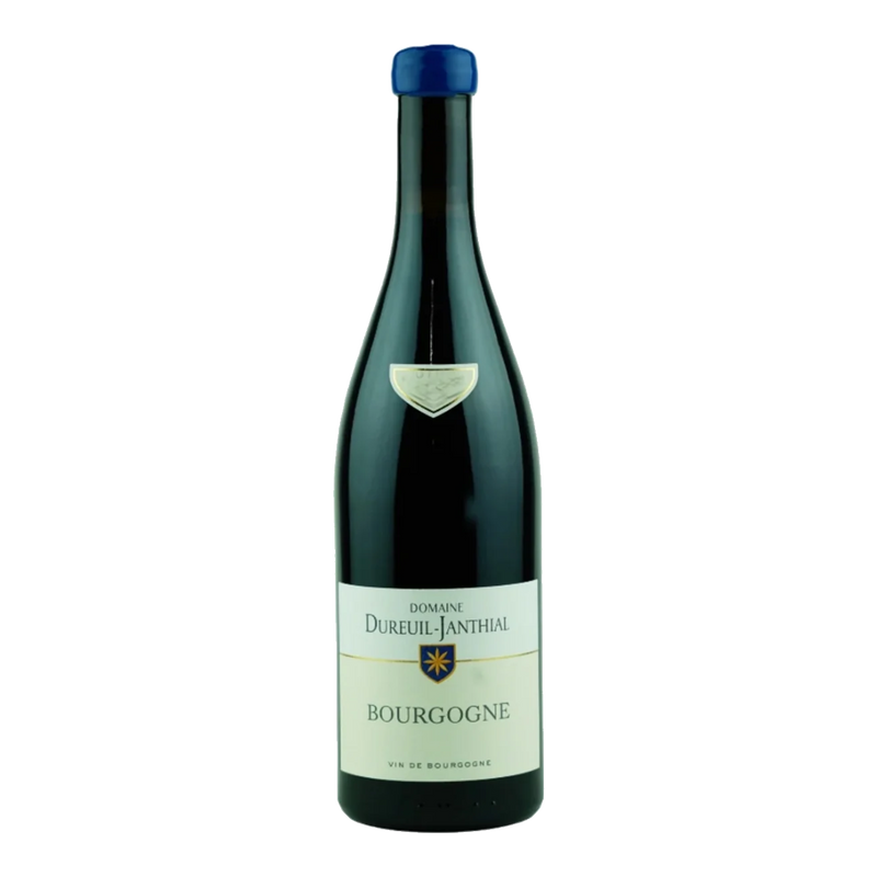 Bourgogne Pinot Noir 2019 Domaine Dureuil-Janthial