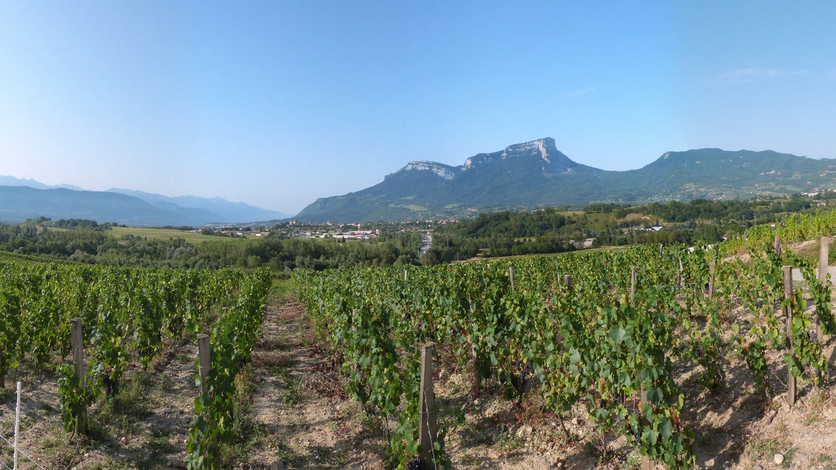 Domaine Adrien Berlioz