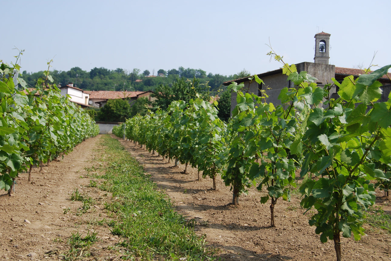 ロンバルディア