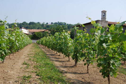 ロンバルディア