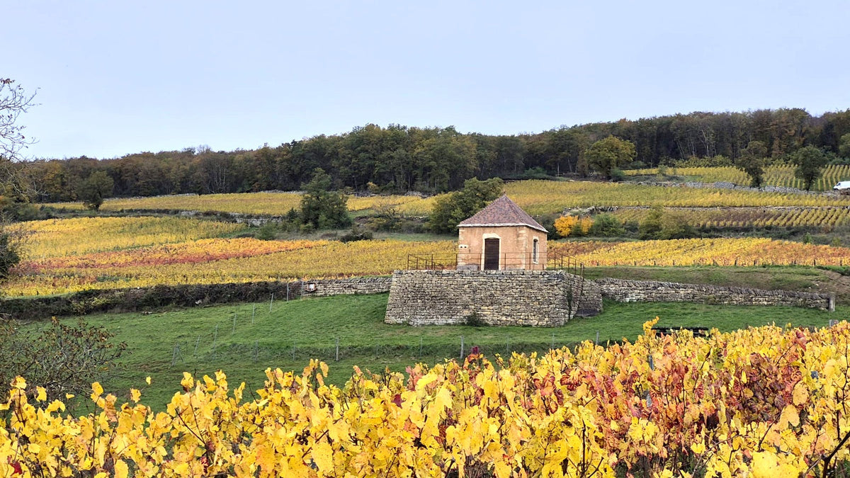 Domaine Guillot-Broux