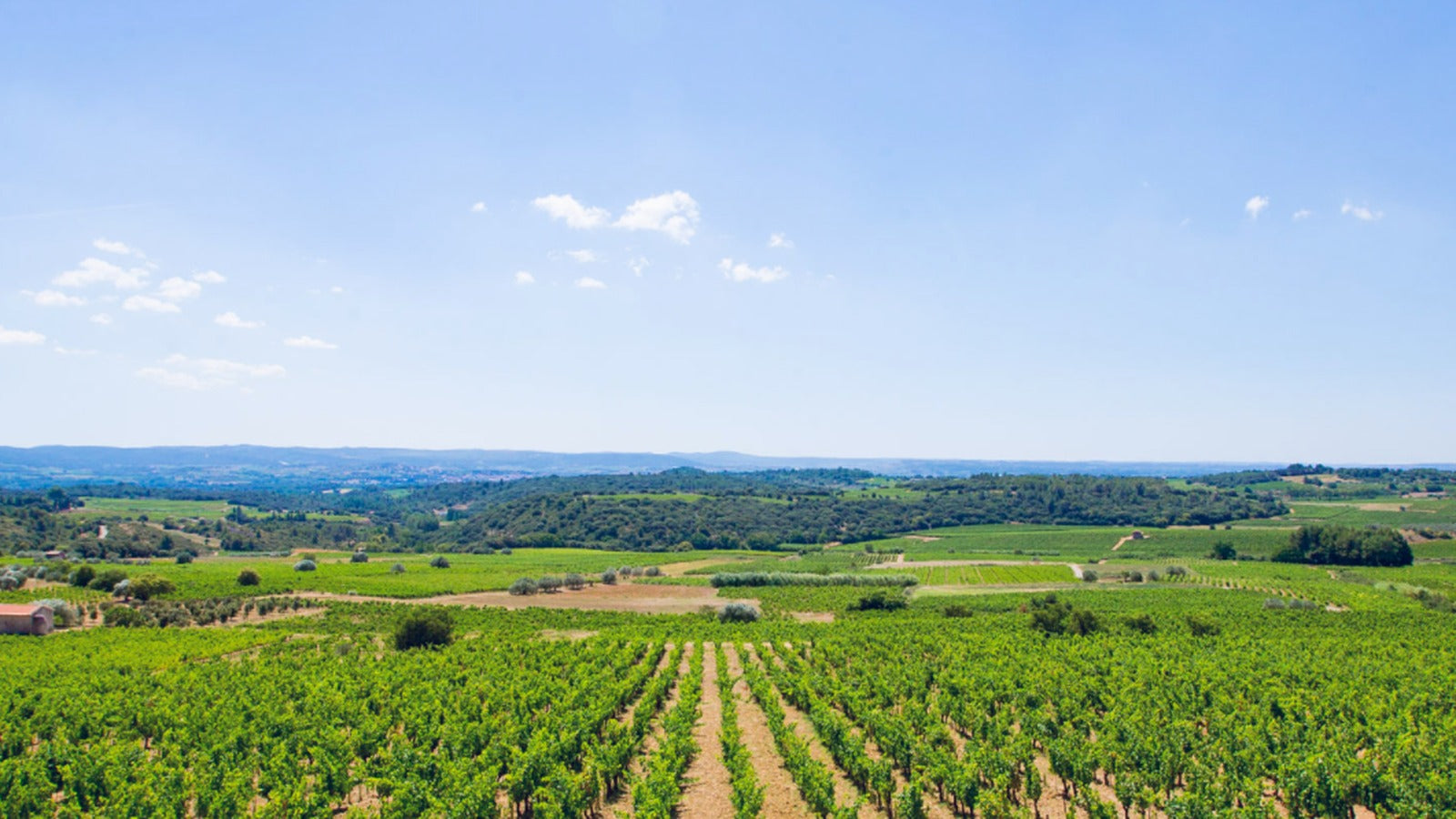 Domaine d'Aupilhac