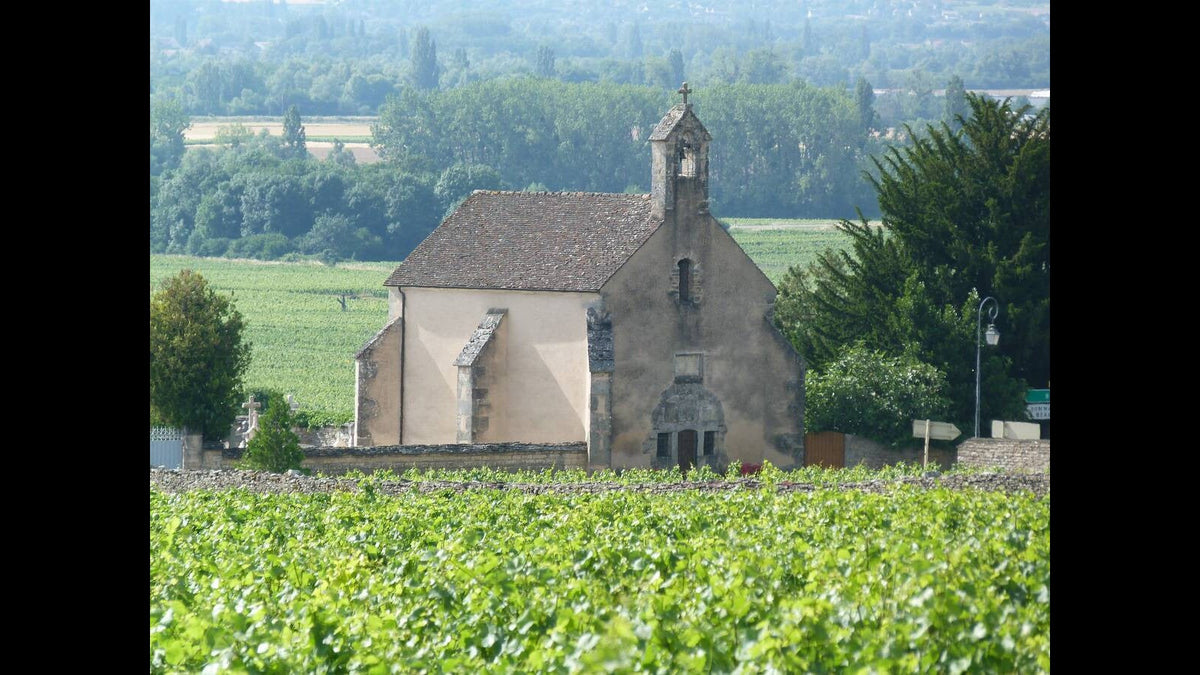 Domaine Clos de la Chapelle
