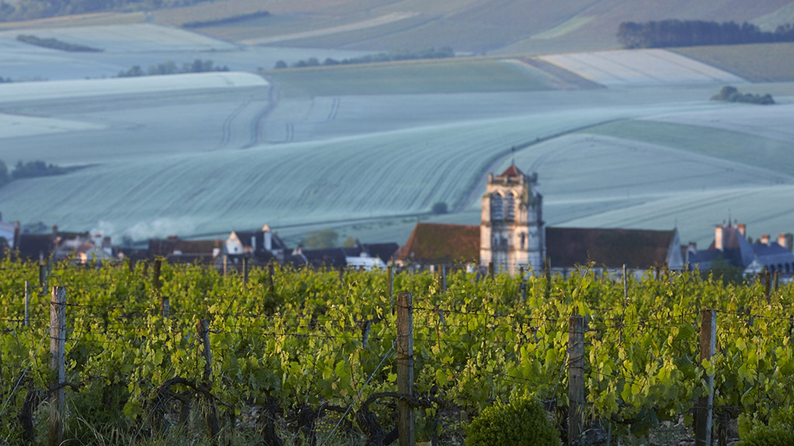 Domaine Goisot