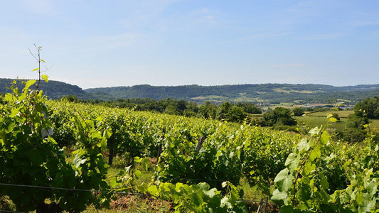 Jura