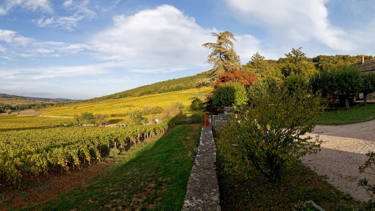 Domaine de l'Évêché