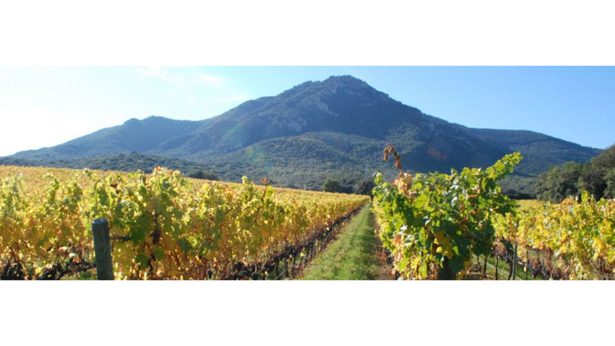 Bodegas Pago de Larrainzar