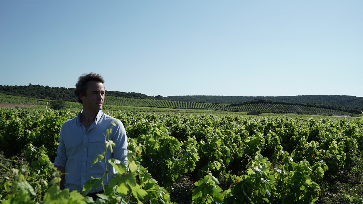 Domaine Montrose