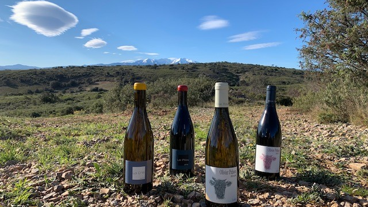 Domaine Olivier Pithon
