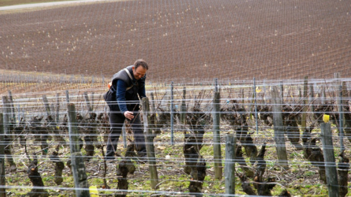 Domaine Perraud