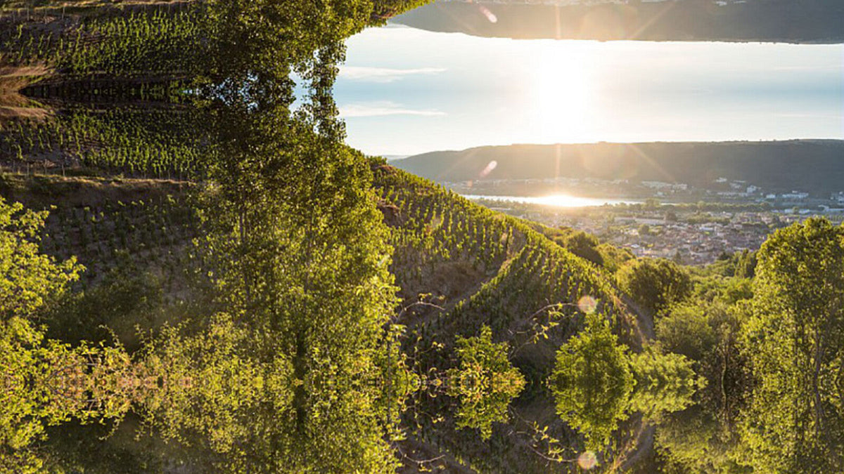 Domaine Julien Pilon