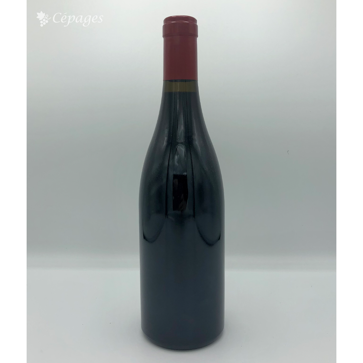 ジュヴレイ・シャンベルタン プルミエ・クリュ シャンポネ 2015 ドメーヌ・ドニ・モルテ