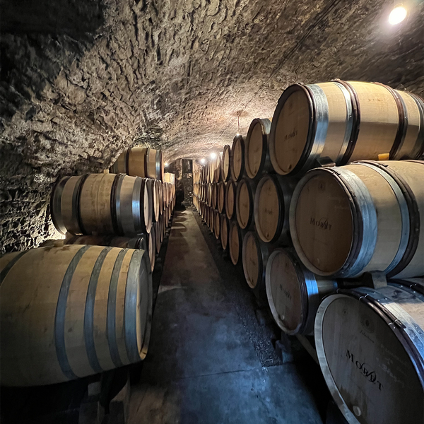 Domaine David Moret