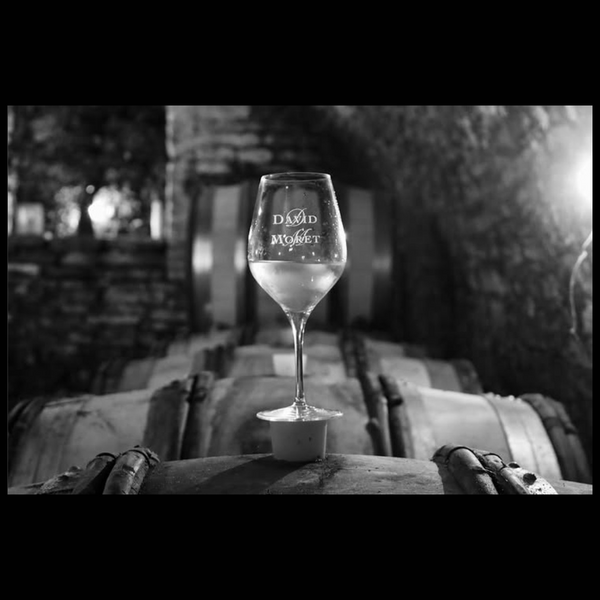 Domaine David Moret