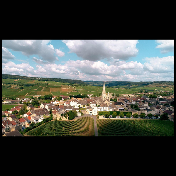 Domaine David Moret