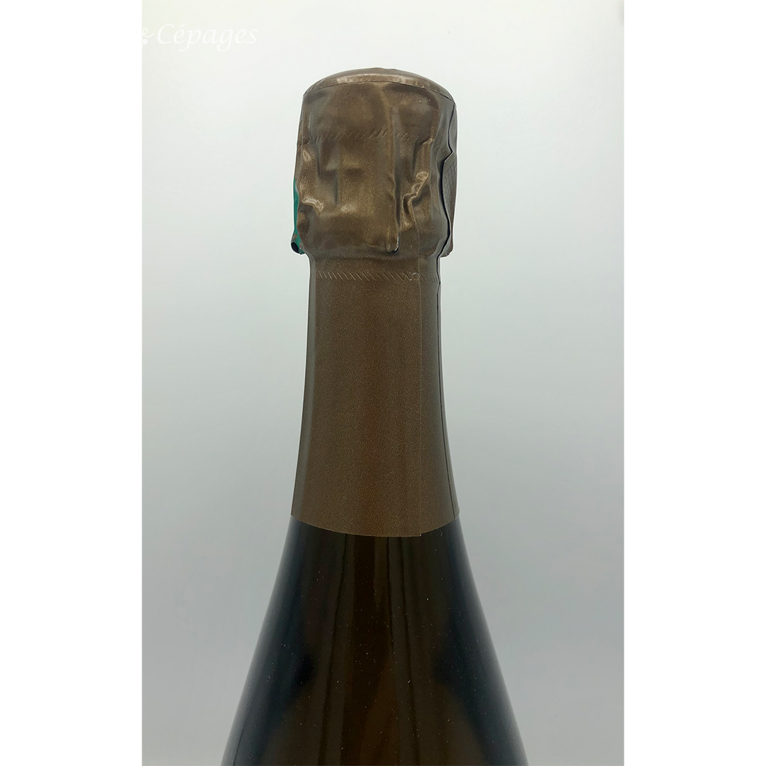 レ・ゾー・ムニエ 2015 エマニュエル・ブロシェ