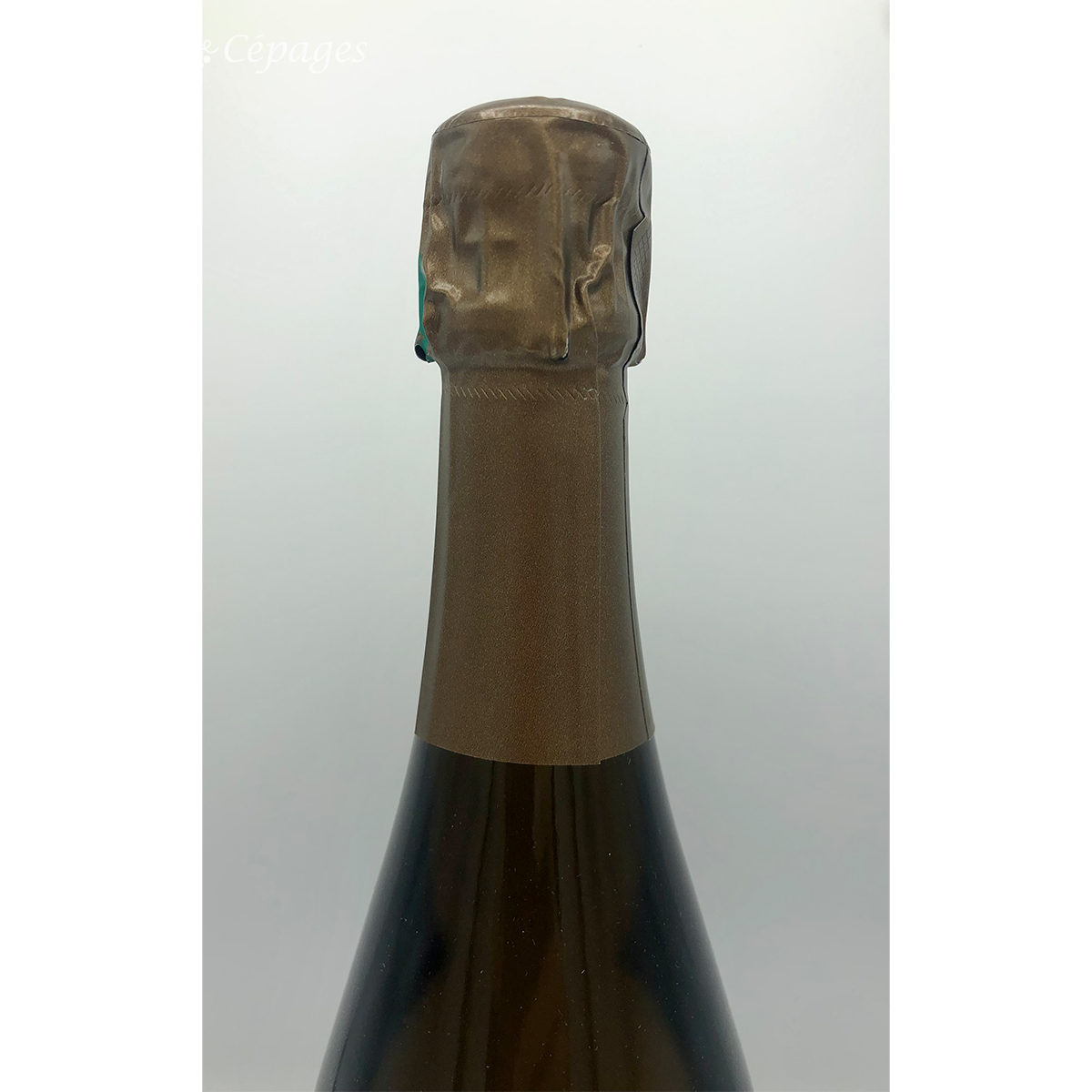 レ・ゾー・ムニエ 2015 エマニュエル・ブロシェ