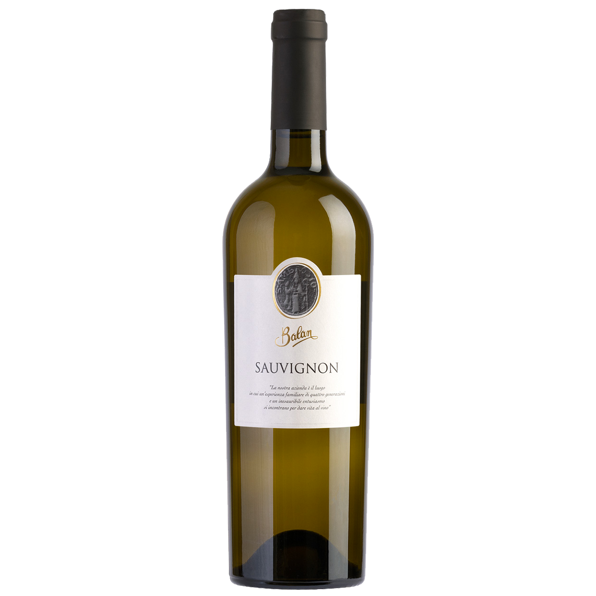 Sauvignon 2023