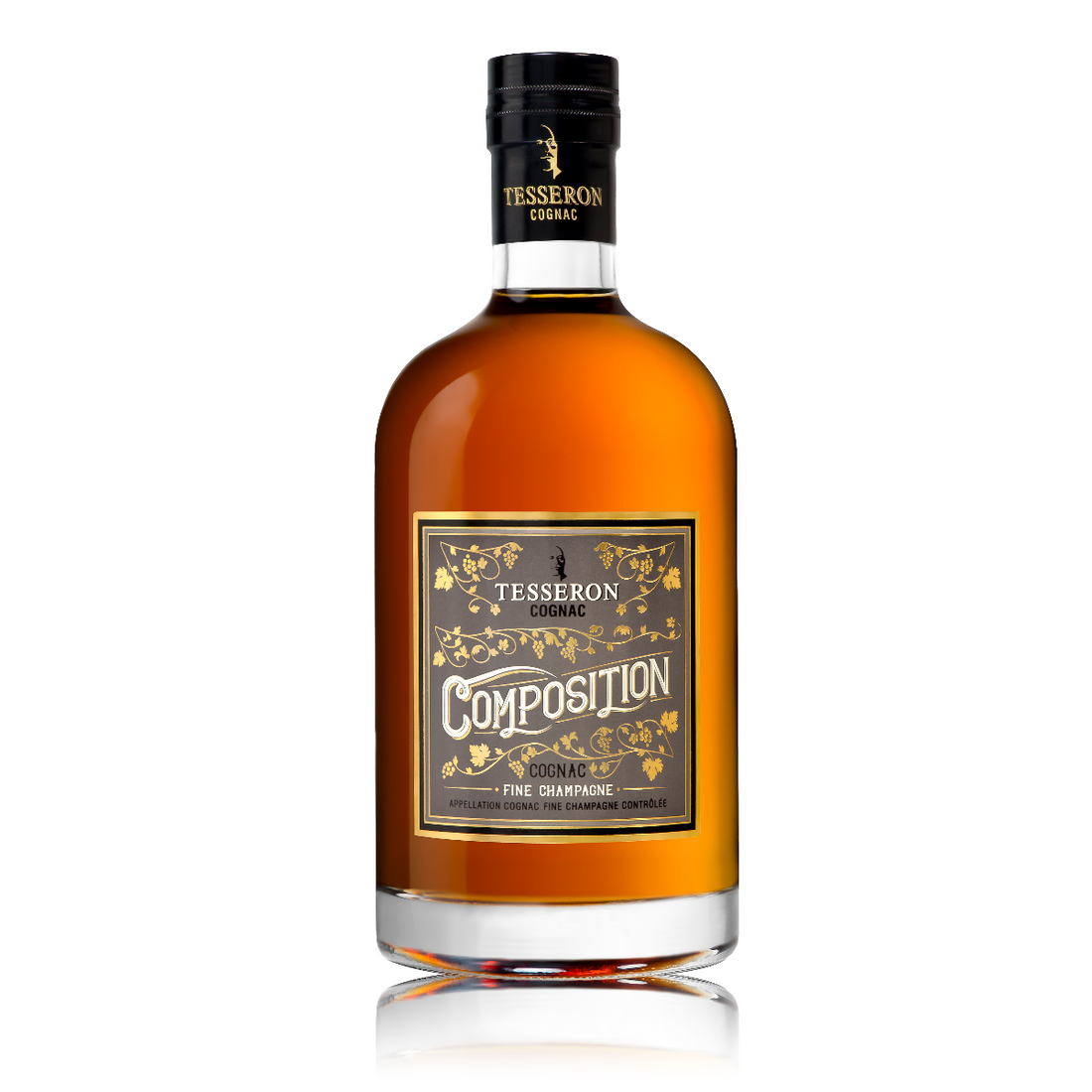 コンポジション　テスロン